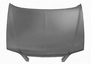 Capota motor 0955660 VAN WEZEL - Capota fata/piese/izolare fonica