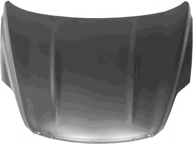 Capota motor 1905660 VAN WEZEL - Capota fata/piese/izolare fonica