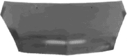 Capota motor 3235660 VAN WEZEL - Capota fata/piese/izolare fonica