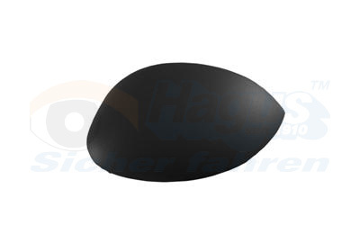 Acoperire oglinda exterioara 4028843 VAN WEZEL - Oglinzi Acoperire oglinda exterioara 4028843 VAN WEZEL - Oglinzi