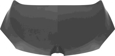 Capota motor 4377660 VAN WEZEL - Capota fata/piese/izolare fonica