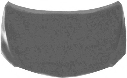 Capota motor 5389660 VAN WEZEL - Capota fata/piese/izolare fonica