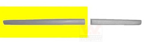 Elemente decorative/protectie, portiera 5827423 VAN WEZEL - Bandouri decorative/de protectie Elemente decorative/protectie, portiera 5827423 VAN WEZEL - Bandouri decorative/de protectie