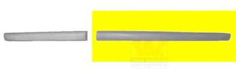 Elemente decorative/protectie, portiera 5827424 VAN WEZEL - Bandouri decorative/de protectie Elemente decorative/protectie, portiera 5827424 VAN WEZEL - Bandouri decorative/de protectie