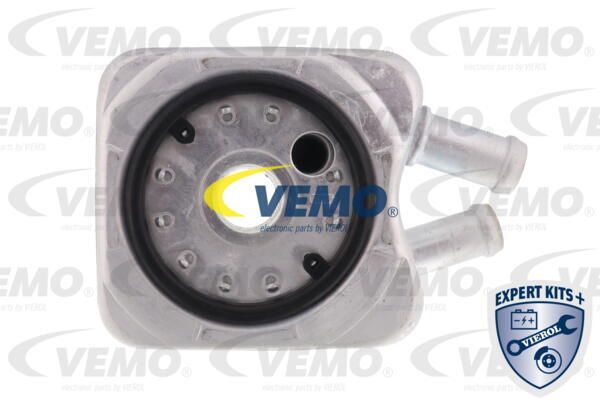 Radiator ulei, ulei motor V15-60-6010 VEMO - Radiator ulei Radiator ulei, ulei motor V15-60-6010 VEMO - Radiator ulei