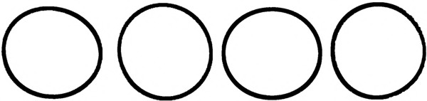 Set garnituri, galerie admisie 11-36956-01 REINZ - Garnitura galerie admisie