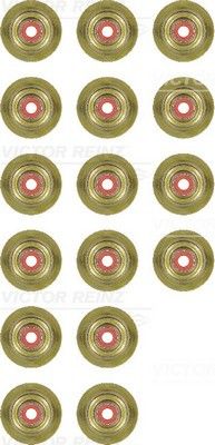 Set garnituri, ax supape 12-34438-01 REINZ - Garnituri Set garnituri, ax supape 12-34438-01 REINZ - Garnituri
