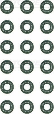 Set garnituri, ax supape 12-34914-02 REINZ - Garnituri Set garnituri, ax supape 12-34914-02 REINZ - Garnituri