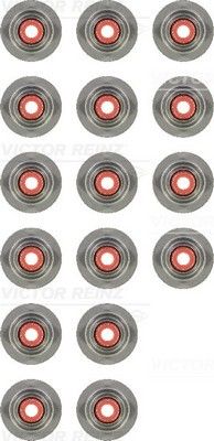 Set garnituri, ax supape 12-35257-01 REINZ - Garnituri Set garnituri, ax supape 12-35257-01 REINZ - Garnituri