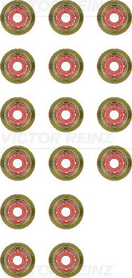 Set garnituri, ax supape 12-36587-01 REINZ - Garnituri Set garnituri, ax supape 12-36587-01 REINZ - Garnituri
