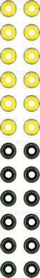 Set garnituri, ax supape 12-37102-02 REINZ - Garnituri Set garnituri, ax supape 12-37102-02 REINZ - Garnituri