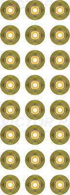 Set garnituri, ax supape 12-40336-02 REINZ - Garnituri Set garnituri, ax supape 12-40336-02 REINZ - Garnituri