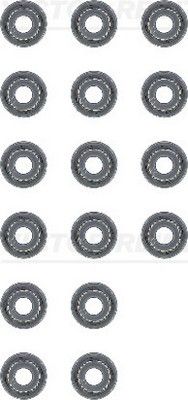 Set garnituri, ax supape 12-53678-01 REINZ - Simering supapa Set garnituri, ax supape 12-53678-01 REINZ - Simering supapa