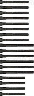 Set surub, chiulasa 14-32032-01 REINZ - Surub chiulasa