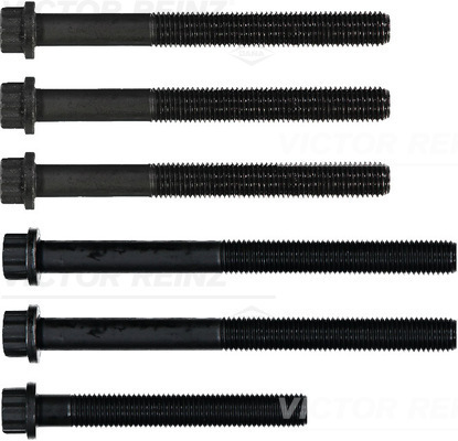 Set surub, chiulasa 14-32060-01 REINZ - Surub chiulasa