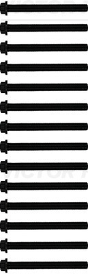 Set surub, chiulasa 14-32172-02 REINZ - Surub chiulasa