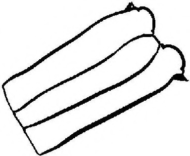 Garnitura, capac supape 71-33846-00 REINZ - Garnitura /capac supape