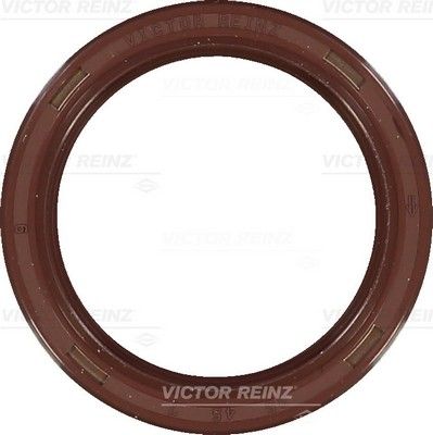 Simering, arbore cotit 81-35506-00 REINZ - Garnituri Simering, arbore cotit 81-35506-00 REINZ - Garnituri