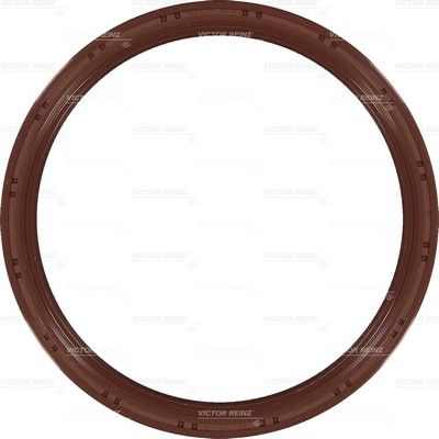 Simering, arbore cotit 81-54176-00 REINZ - Simering fulie arbore cotit/ -set Simering, arbore cotit 81-54176-00 REINZ - Simering fulie arbore cotit/ -set