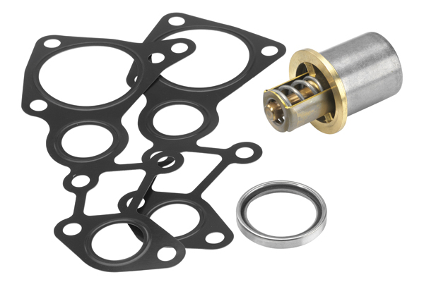 termostat,racire ulei 410763.82D WAHLER - Ungere termostat,racire ulei 410763.82D WAHLER - Ungere