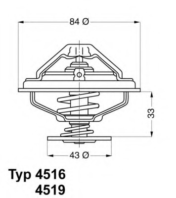 termostat,lichid racire 4516.85D WAHLER - Termostat